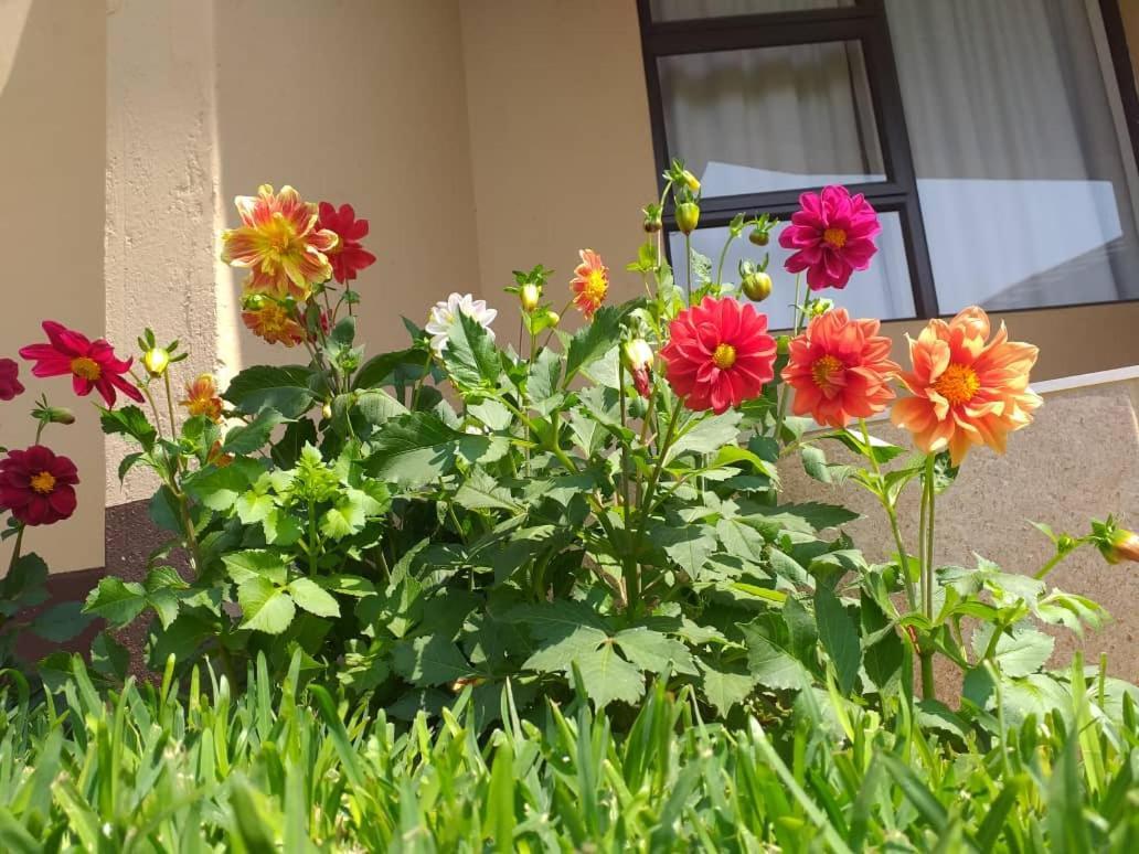 Styled Bed And Breakfast Palapye Ngoại thất bức ảnh